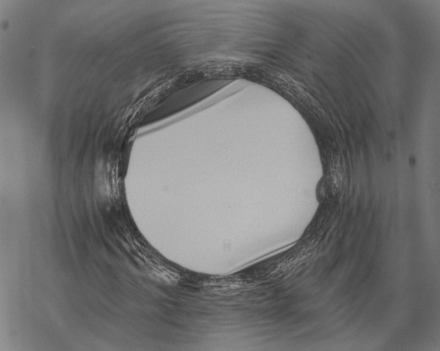 X0000068830964200605261611