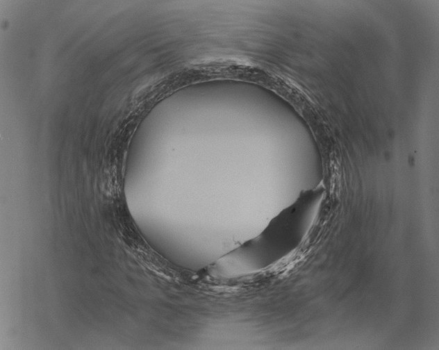 X0000068830965200605261611