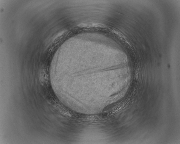 X0000068830966200605261611