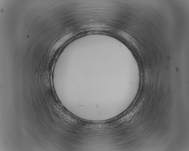 X0000068830970200605261611