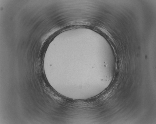 X0000068830971200605261611