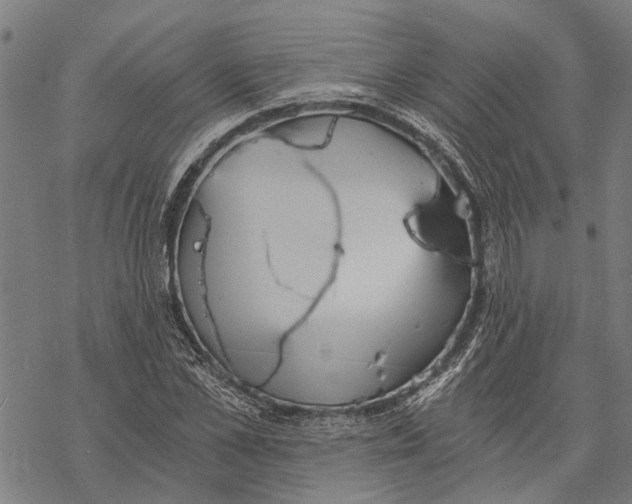 X0000068830973200605261611