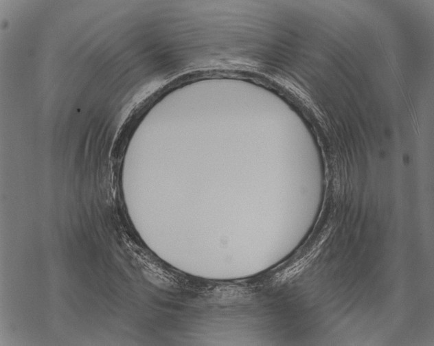 X0000068830974200605261611