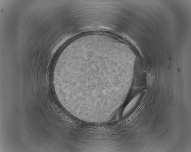 X0000068830975200605261611