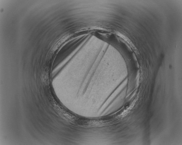 X0000068830977200605261611