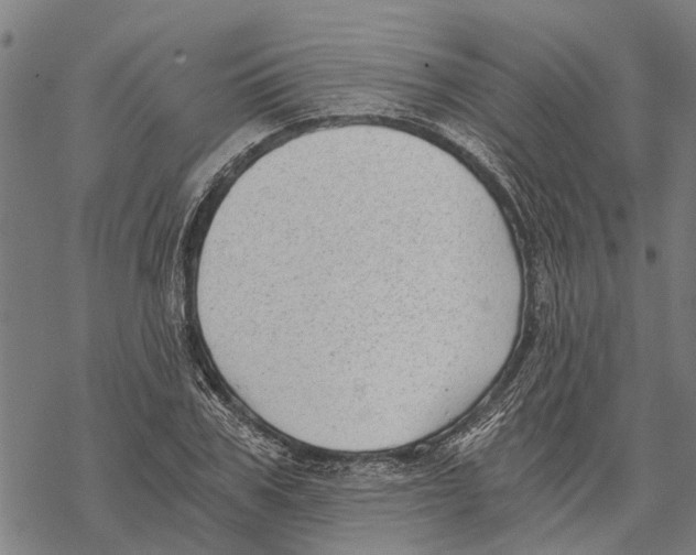 X0000068830979200605261611