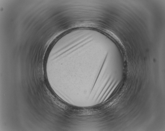 X0000068830980200605261611