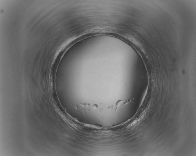 X0000068830981200605261611