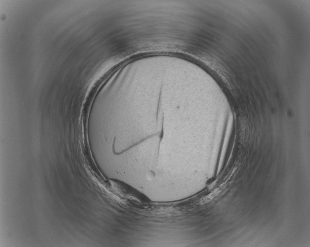 X0000068830982200605261611