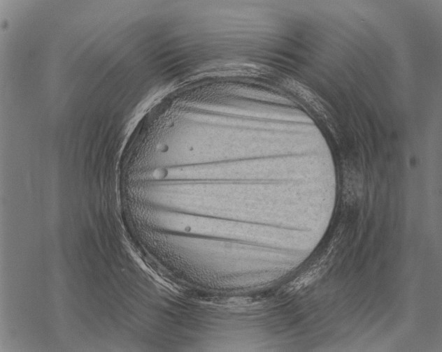 X0000068830986200605261611