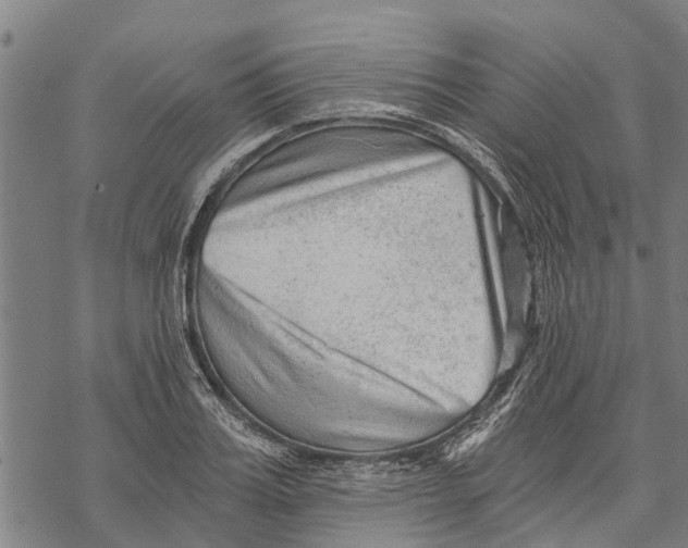 X0000068830987200605261611