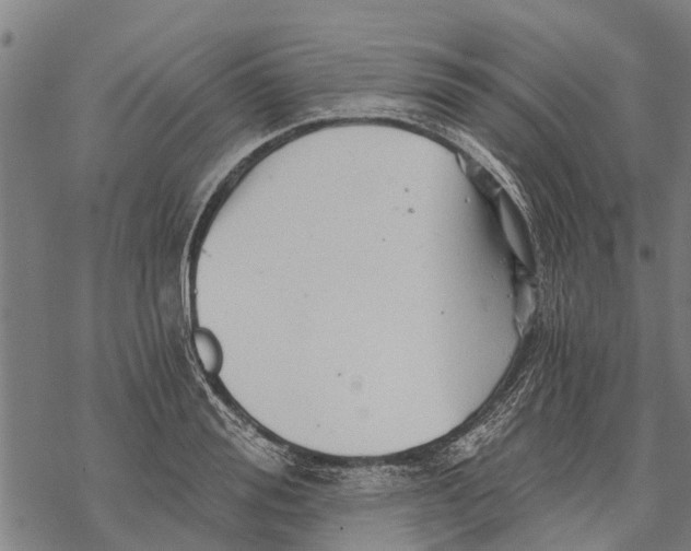 X0000068830988200605261611