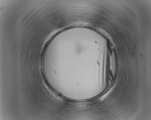 X0000068830989200605261611