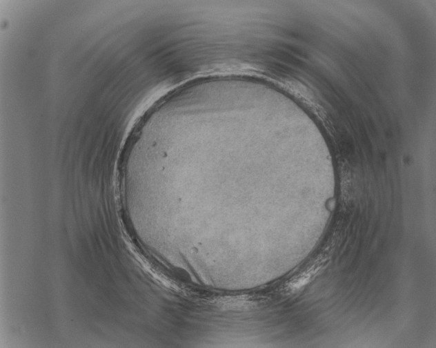 X0000068830990200605261611