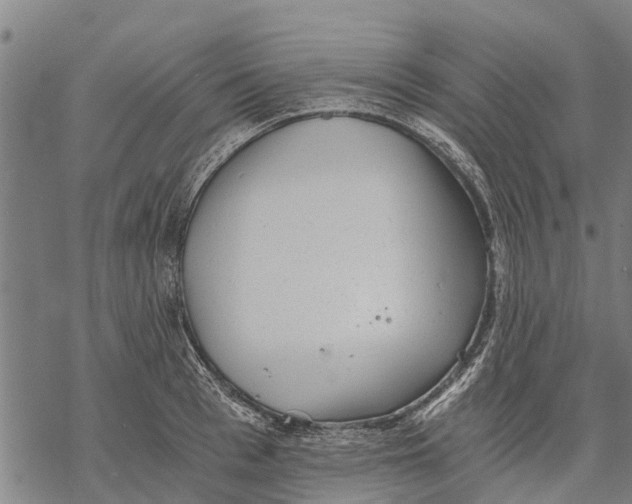 X0000068830993200605261611