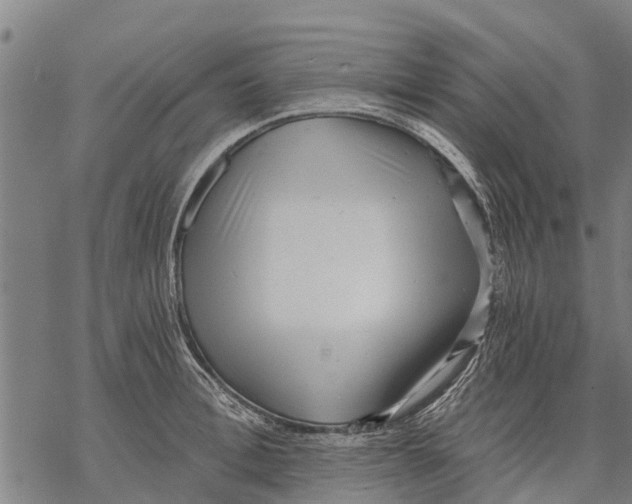 X0000068830996200605261611