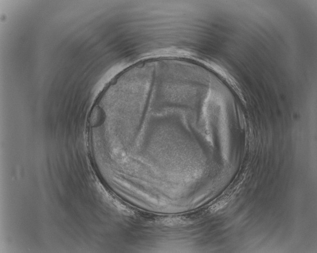 X0000068830998200605261611