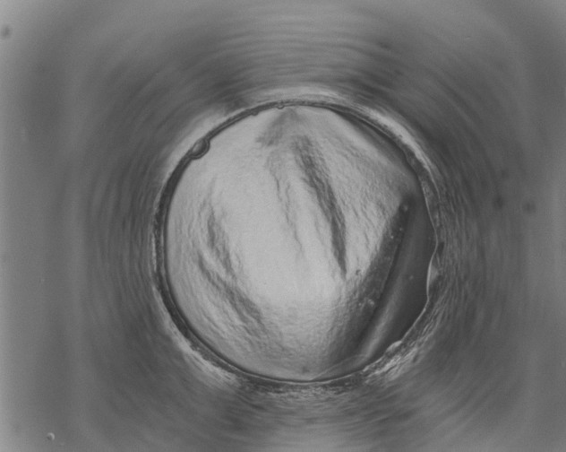 X0000068830999200605261611