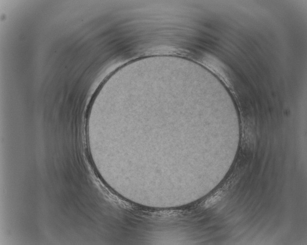 X0000068831000200605261611