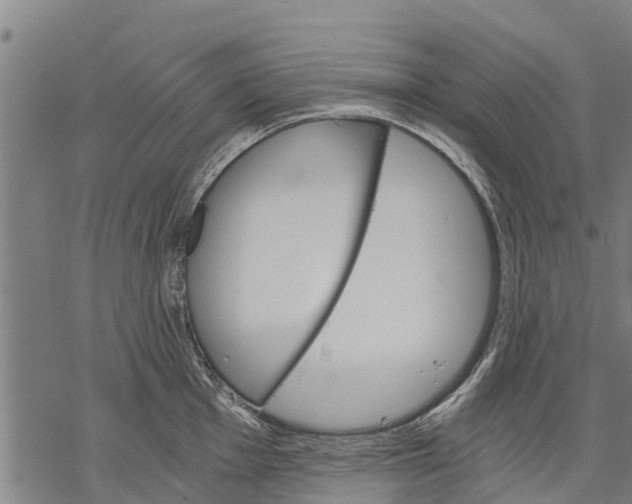 X0000068831001200605261611