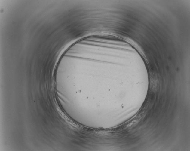 X0000068831004200605261611