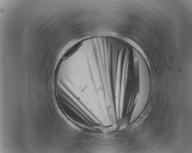 X0000068831005200605261611