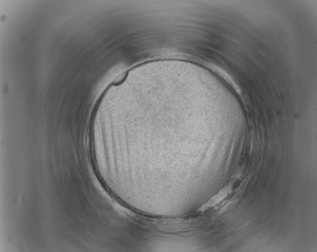 X0000068831007200605261611