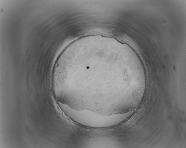 X0000068831008200605261611