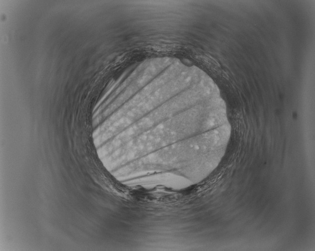 X0000068831009200605261610