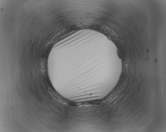 X0000068831012200605261610