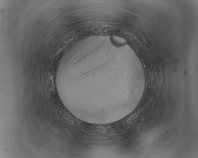 X0000068831013200605261610