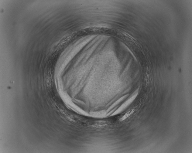 X0000068831014200605261610