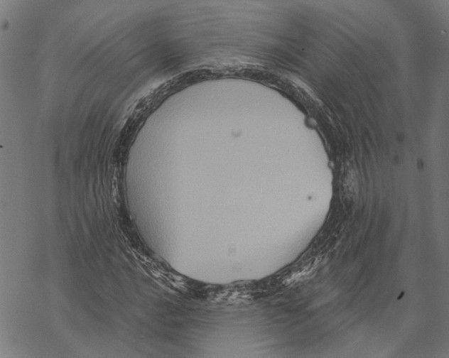 X0000068831016200605261610