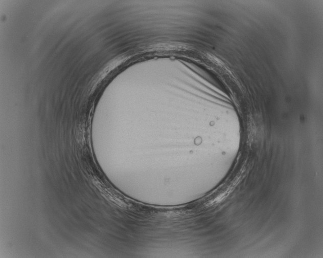 X0000068831017200605261610