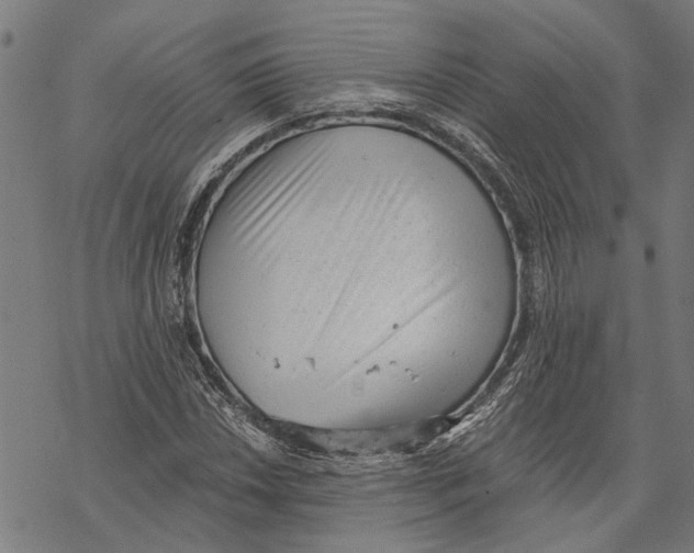 X0000068831018200605261610