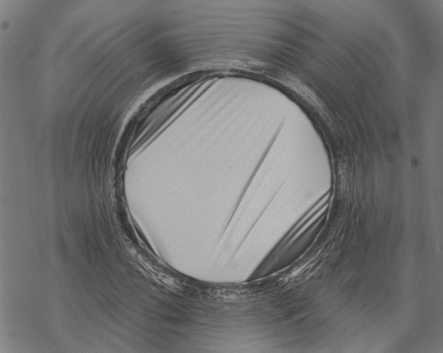 X0000068831020200605261610