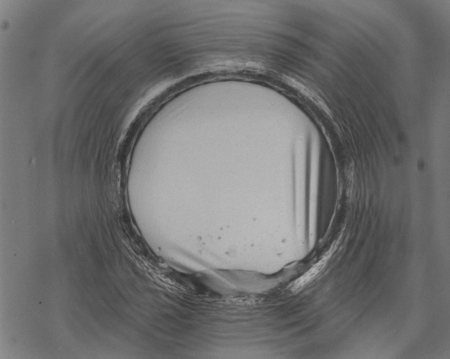 X0000068831021200605261610