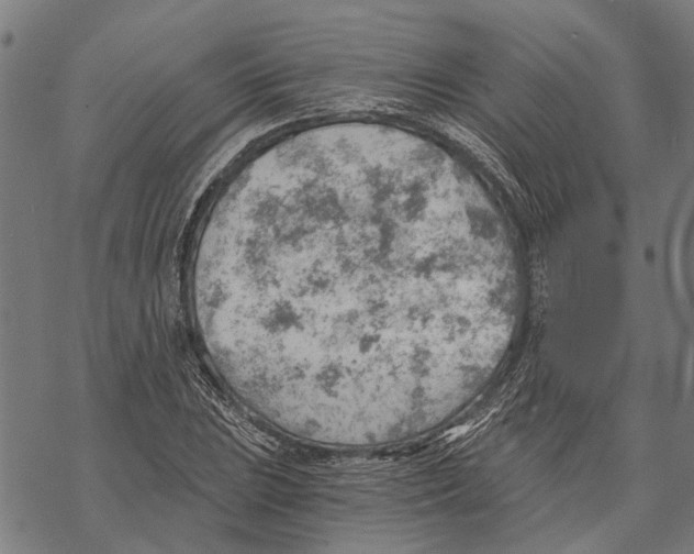 X0000068831023200605261610