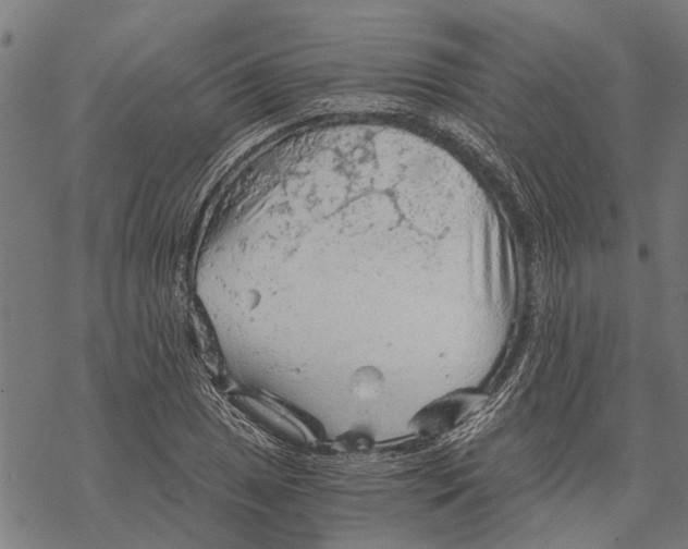 X0000068831025200605261610