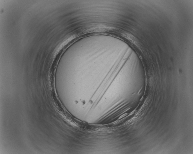 X0000068831026200605261610