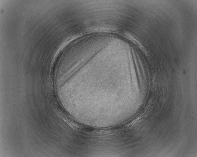 X0000068831027200605261610