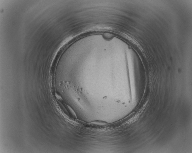 X0000068831029200605261610