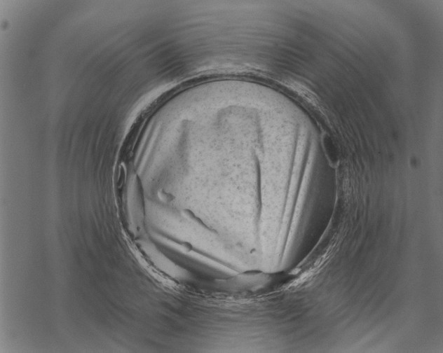 X0000068831030200605261610