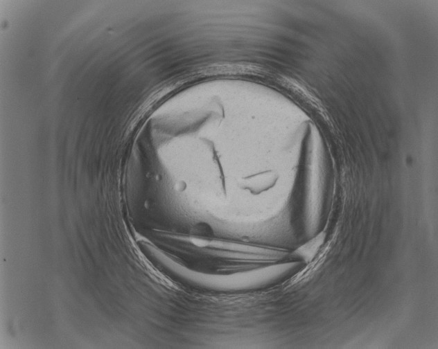 X0000068831033200605261610