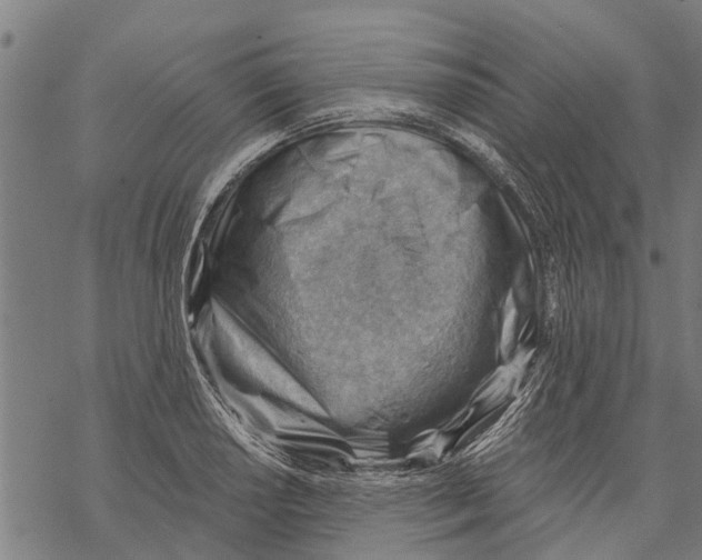 X0000068831034200605261610