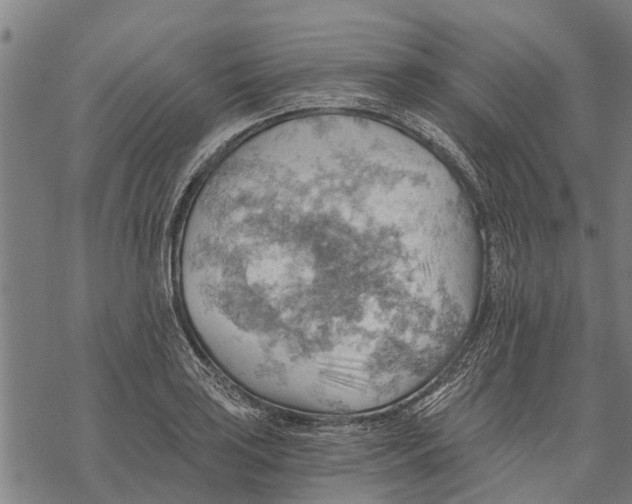 X0000068831035200605261610