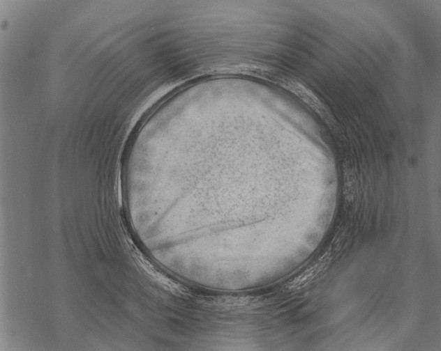 X0000068831036200605261610