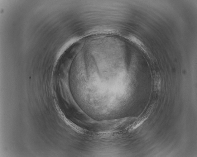 X0000068831038200605261610