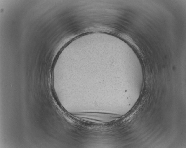 X0000068831040200605261610