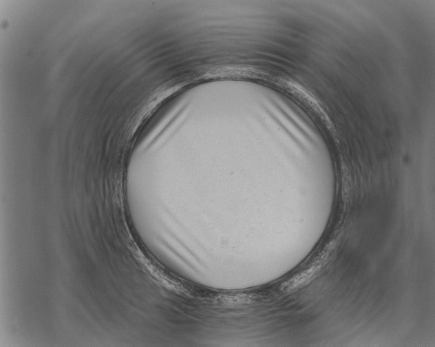 X0000068831041200605261610